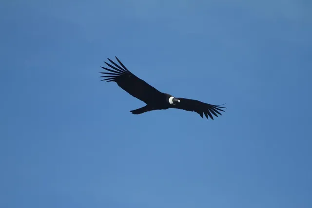sky10a-300x200.jpg
